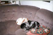 Mysigt i soffan